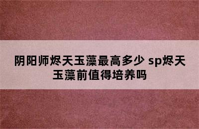 阴阳师烬天玉藻最高多少 sp烬天玉藻前值得培养吗